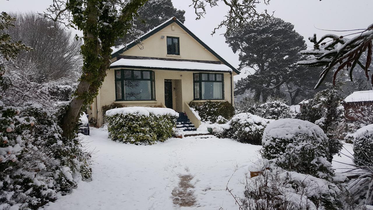 Norwegian Wood Hotel Paignton Exterior photo